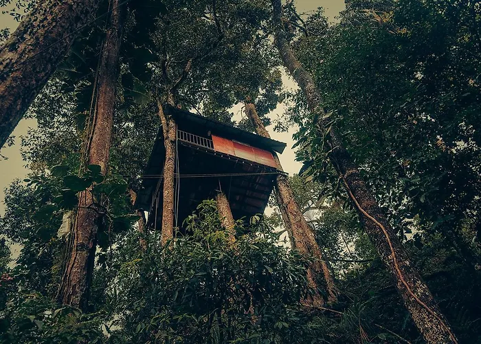 Ela Ecoland Nature Retreat